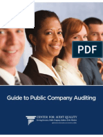 Guideto Public Company Auditing