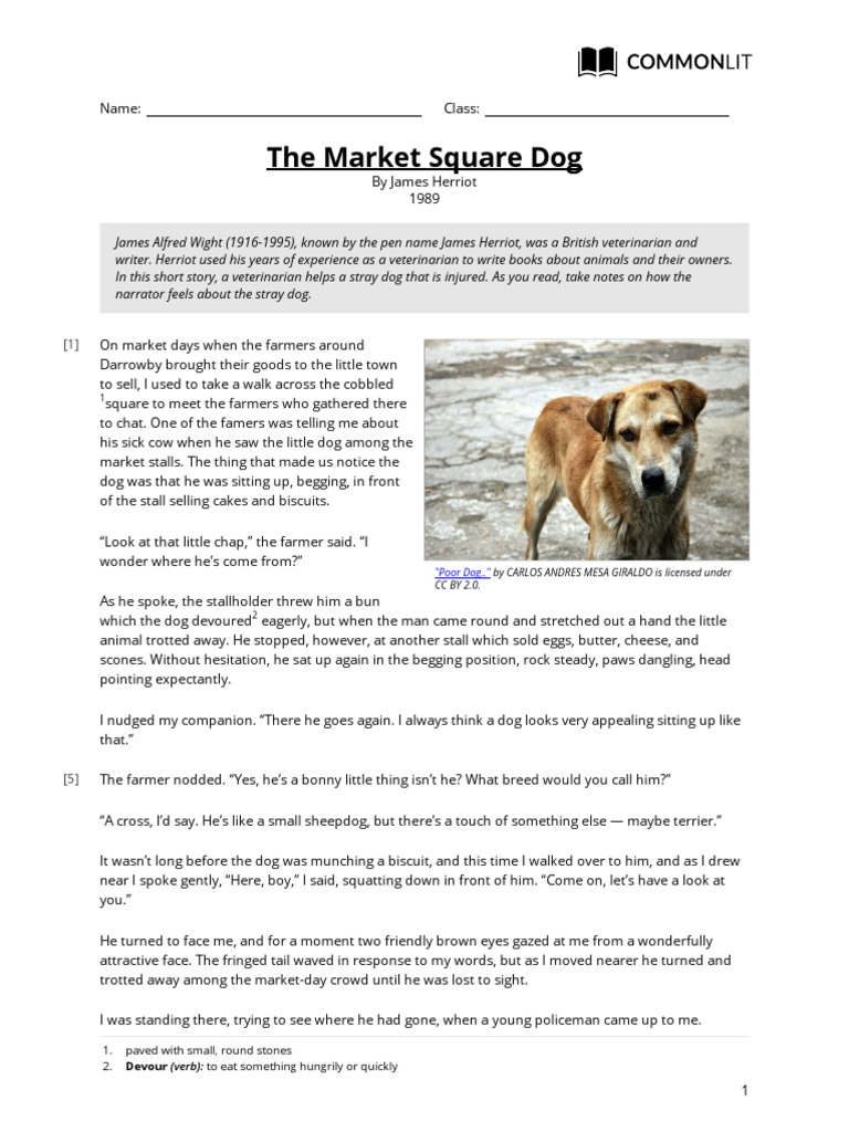 CommonLit The Market Square Dog PDF Dogs Domesticated Animals