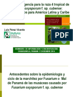 03 PLAN DE CONTINGENCIA FACTORES CRITICOS L P ëREZ VICENTE PDF