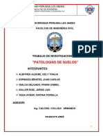 Patologias de Suelo PDF