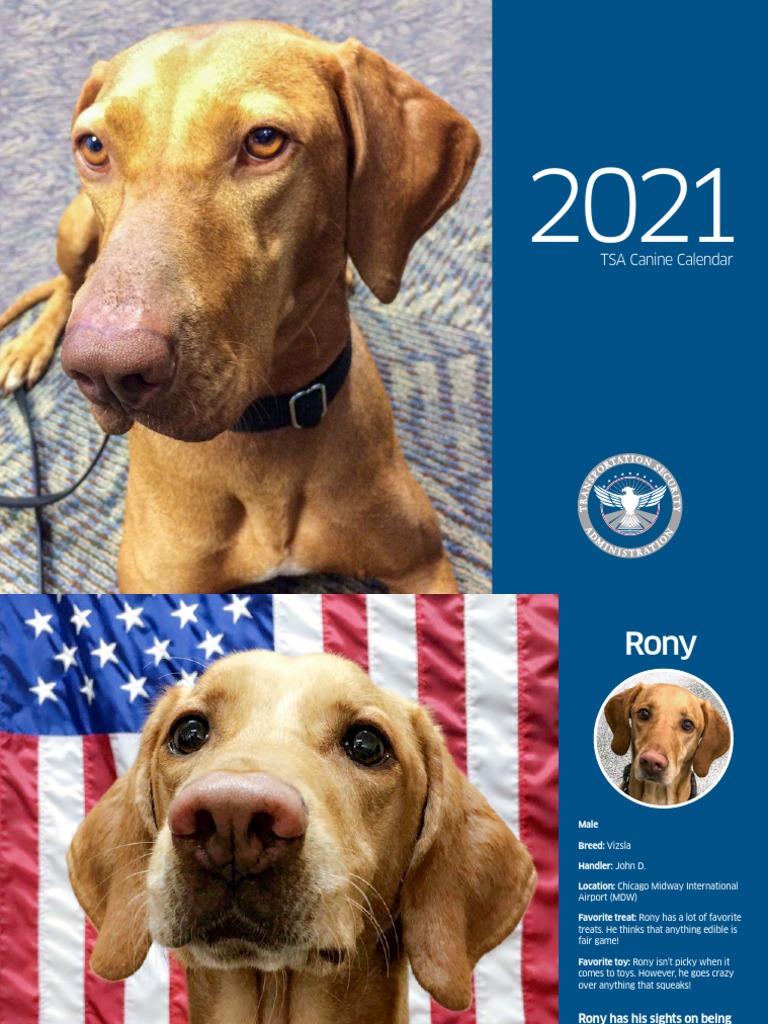 the-tsa-s-new-working-canine-calendar-is-here-to-make-your-2021-better-leviolonrouge