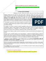 Describimos Alimentos Beneficiosos para El Cuidado de La Salud