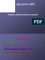 Prajituri PDF
