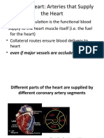 External Heart: Arteries That Supply The Heart