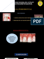 Bolsa Periodontal