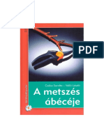 a-metszeacutes-aacutebeacuteceacuteje_compress.pdf
