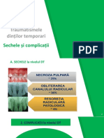 LP4 - Sechele, Complicatii, Consecinte Traum DT PDF
