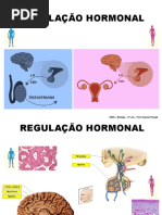 Regulação Hormonal