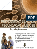 Revisão Meiose