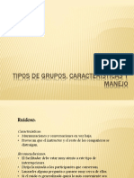 2 Tipos de Grupos Características y Manejo PDF