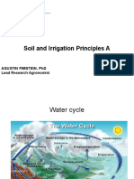 Soil and Irrigation Principles A: Agustin Pimstein, PHD Lead Research Agronomist