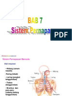 Sistem Pernapasan Materi 1 PDF