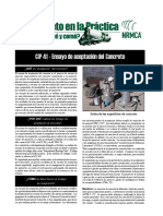 CIP41es (1).pdf