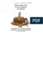 Apola-Irete-pdf-1.pdf