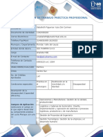 Anexo 1 Formato Plan de Trabajo Practica Profesional - Aprobada PDF