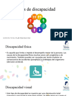 ANEXO 2 Tipos de Discapacidad