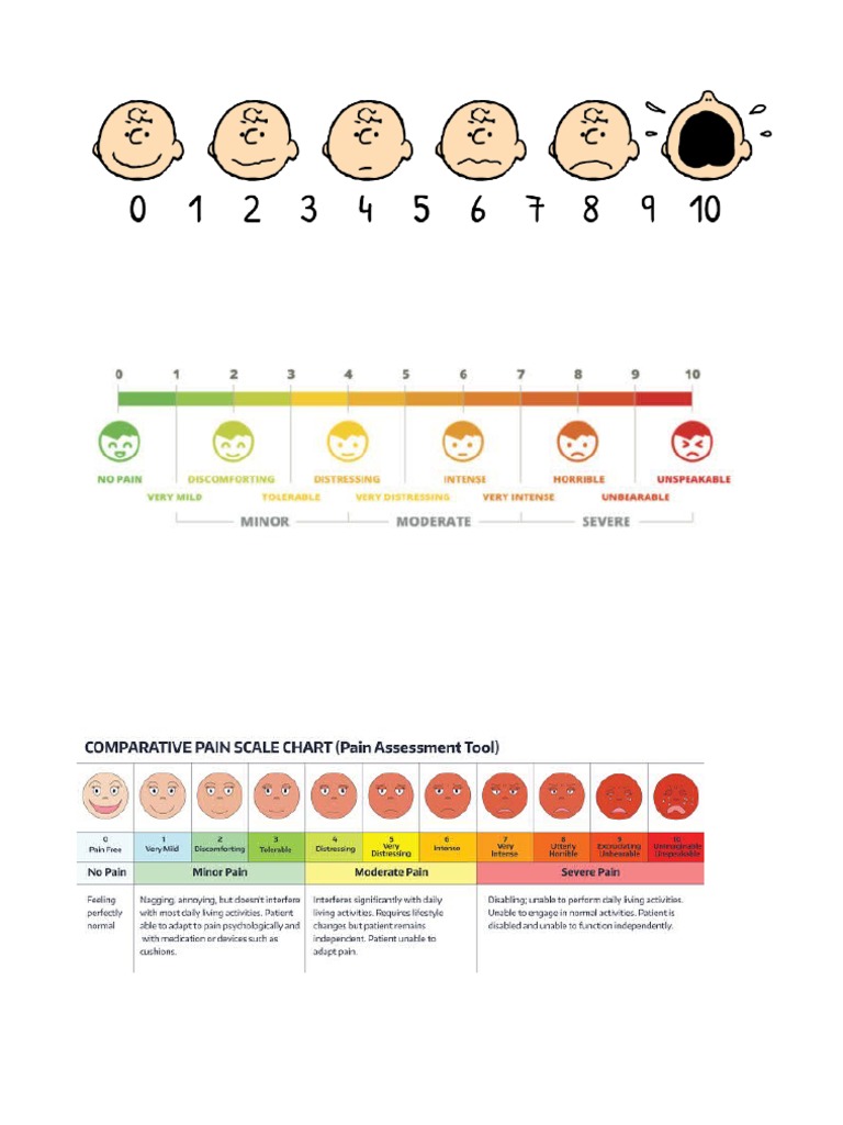Schmidt Pain Scale Pdf : Schmidt Sting Pain Index – CTOK
