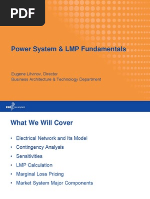 LMP AdvancedWPM ELitvinovWEM301 | PDF | Electric Power System 