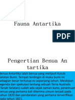 Fauna Antartika-WPS Office