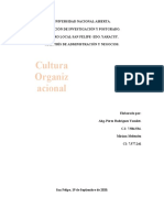 Cultural Organizacional VS Públicas y Privadas