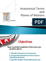 Planes of Motion PDF