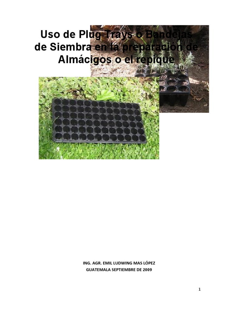 Bandejas de Siembra en La Preparación de Almácigos o El Repique, PDF, Siembra