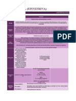 Resumen - Adrenalina