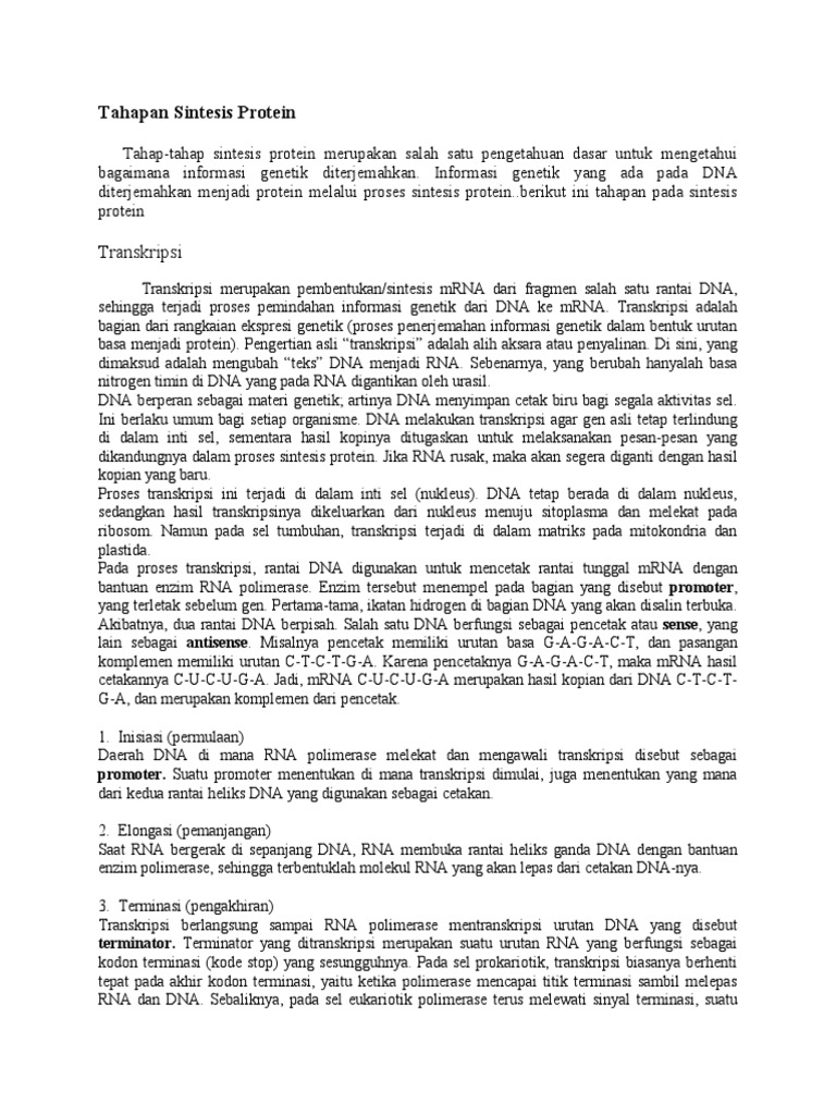 Tahapan Sintesis Protein | PDF | Sains & Matematika