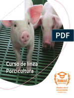 Brochure Porcicultura PDF