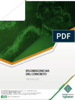eflorescencias_concreto.pdf