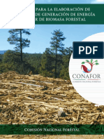 Manual para la Elaboración de Proyectos de Generación de Energía a partir de Biomasa Forestal.pdf