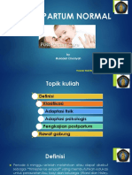 Postpartum Normal PDF