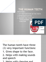 THE HUMAN TEETH T.G (2).pptx