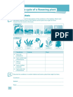 SCIENCE 5 PLANTS.pdf