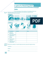 Science 5 Plants PDF