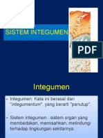 Sistem Integumen