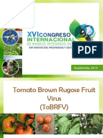  ToBRFV tomato brown rugose fruit virus