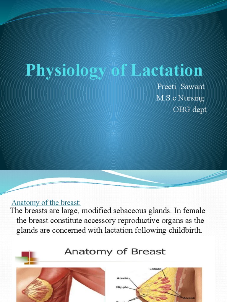Physiology of Lactation Explained | PDF | Lactation | Human Anatomy