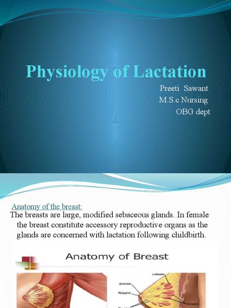 Breastfeeding: The anatomy and physiology behind milk production