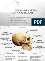 Struktur Rangka Aksial Dan Apendikular