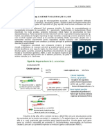 Ciclu Viata Drojdii-Biol III 2020-Csutak - Nc-Unlocked