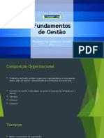 Aula 3 - Composição Organizacional