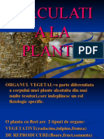 circulatia-la-plante.ppt