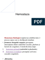 Hemostaza