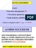 ACIDOS_NUCLEICOS ii.ppt