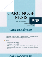 Carcinogénesis 2 - Zully Acevedo