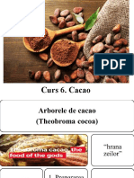 Curs 6. Cacao