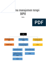 Algoritma Manajemen Terapi BPH