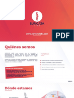 Información Empresa Suricata Labs PDF