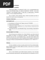 Presentacion de Pruebas Demanda Laboral Examen Final Cecilia Almirón PDF